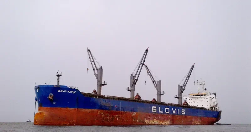 GLOVIS MAPLE Bulk Carrier IMO 9607019 photo 6