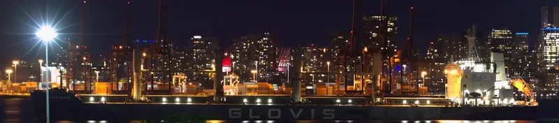 GLOVIS MAPLE Bulk Carrier IMO 9607019 photo 10