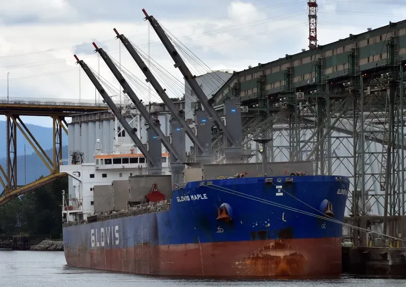 GLOVIS MAPLE Bulk Carrier IMO 9607019 photo 21