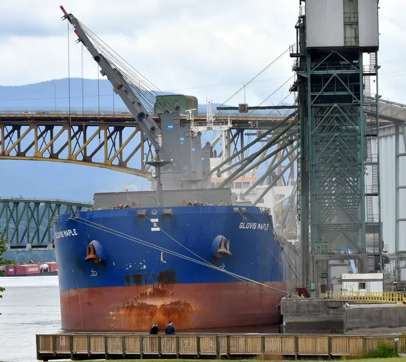 GLOVIS MAPLE Bulk Carrier IMO 9607019 photo 22