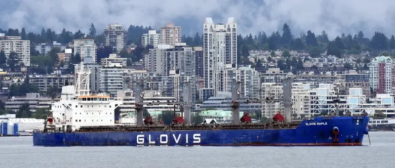 GLOVIS MAPLE Bulk Carrier IMO 9607019 photo 25