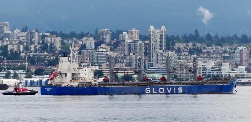 GLOVIS MAPLE Bulk Carrier IMO 9607019 photo 32
