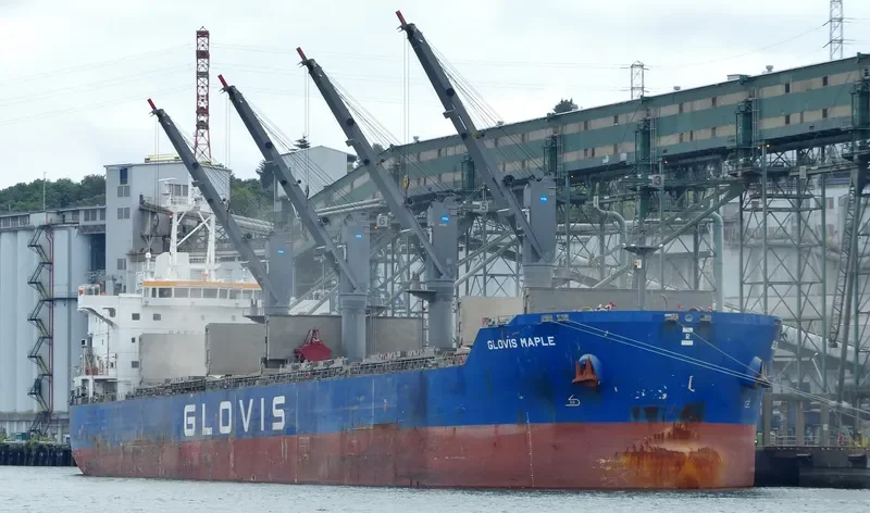 GLOVIS MAPLE Bulk Carrier IMO 9607019 photo 38