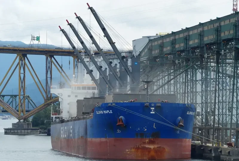 GLOVIS MAPLE Bulk Carrier IMO 9607019 photo 39