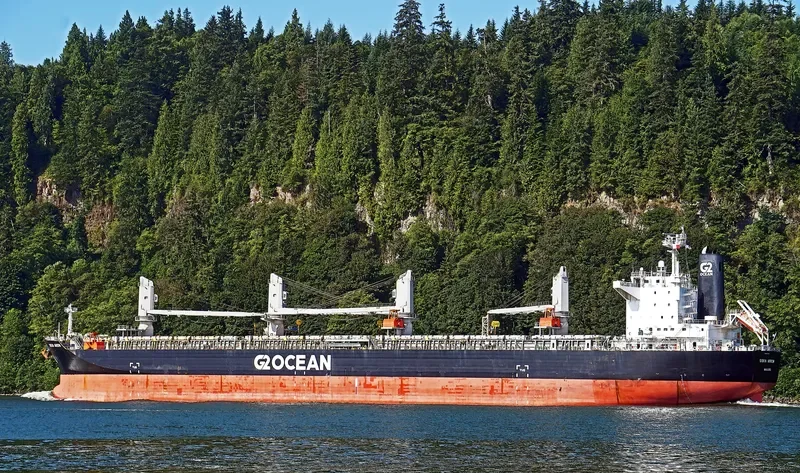 SISKIN ARROW General Cargo IMO 9607095 photo 10