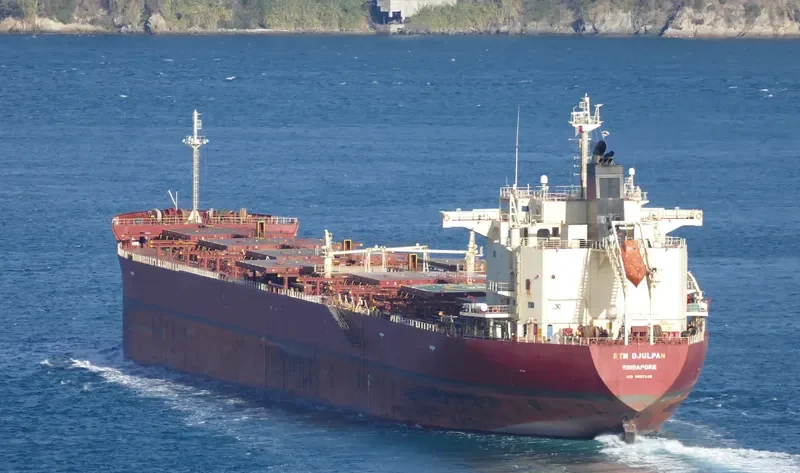 RTM DJULPAN Bulk Carrier IMO 9607148 photo 3