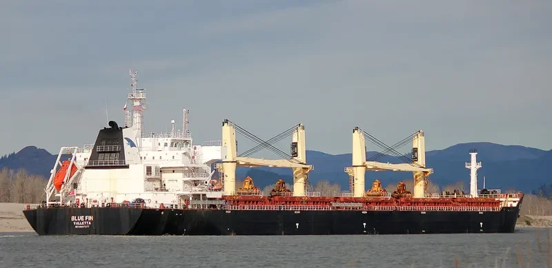 BLUE FIN Bulk Carrier IMO 9607277