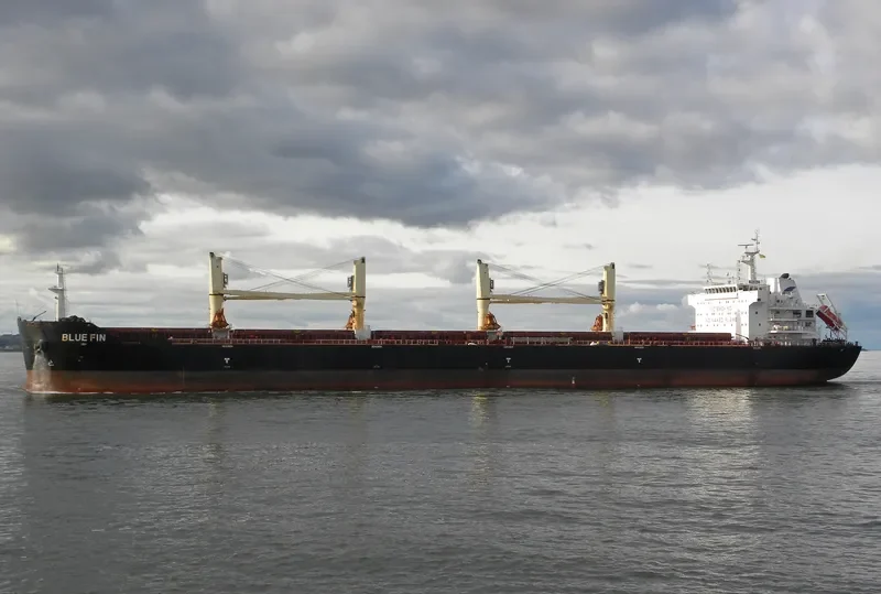 BLUE FIN Bulk Carrier IMO 9607277 photo 5