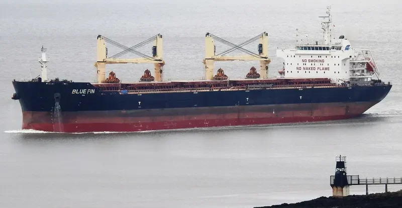 BLUE FIN Bulk Carrier IMO 9607277 photo 8