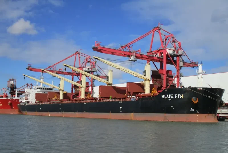 BLUE FIN Bulk Carrier IMO 9607277 photo 10