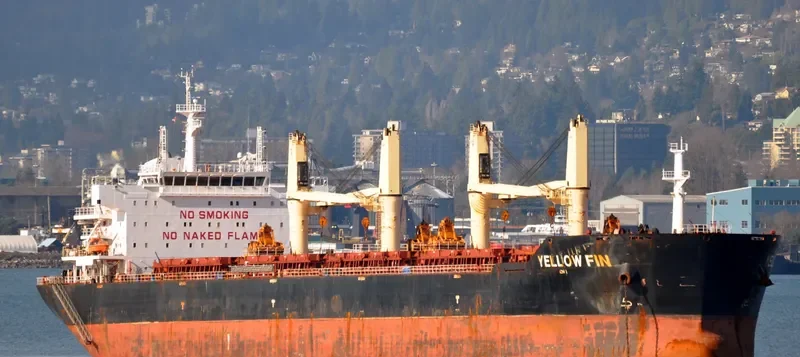 YELLOW FIN Bulk Carrier IMO 9607289 photo 3