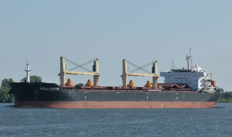 YELLOW FIN Bulk Carrier IMO 9607289 photo 7