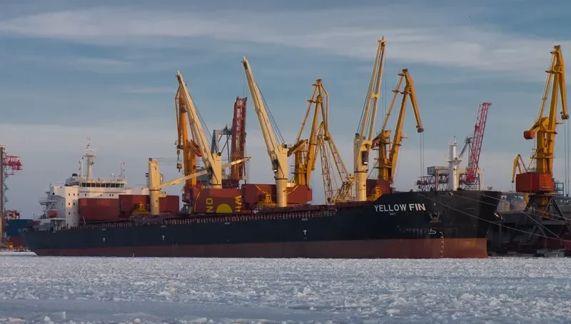 YELLOW FIN Bulk Carrier IMO 9607289 photo 10