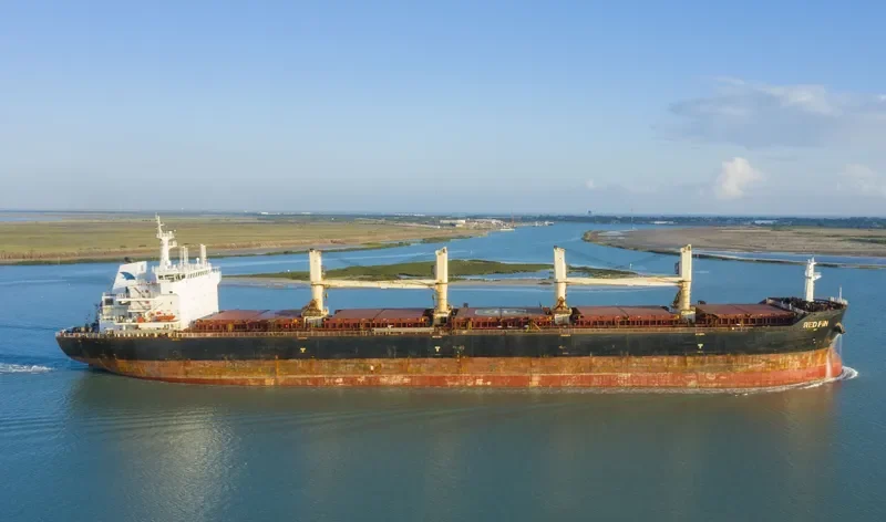 RED FIN Bulk Carrier IMO 9607306 photo 4