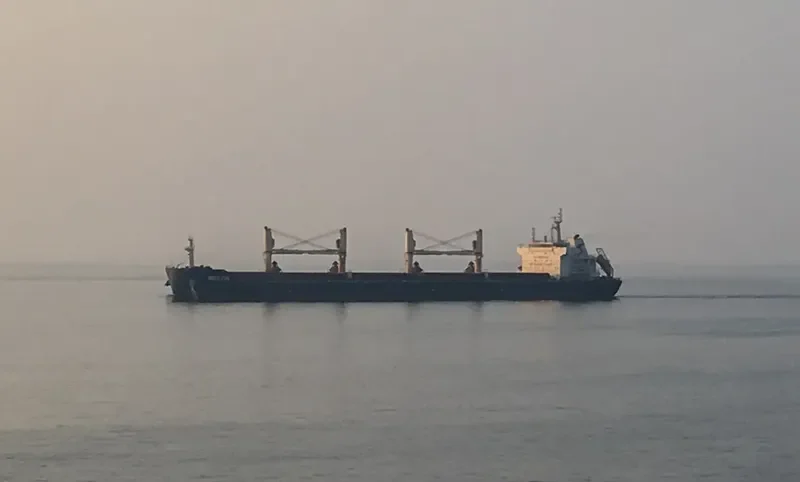 RED FIN Bulk Carrier IMO 9607306 photo 7