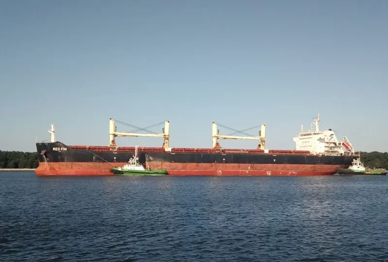 RED FIN Bulk Carrier IMO 9607306 photo 8