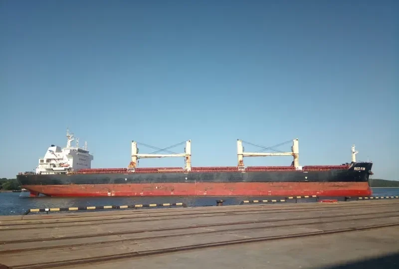 RED FIN Bulk Carrier IMO 9607306 photo 10