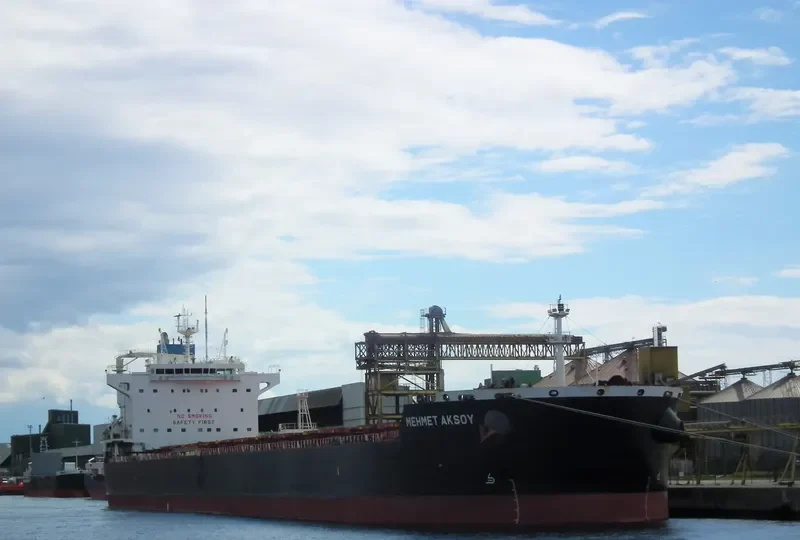 MEHMET AKSOY Bulk Carrier IMO 9607502