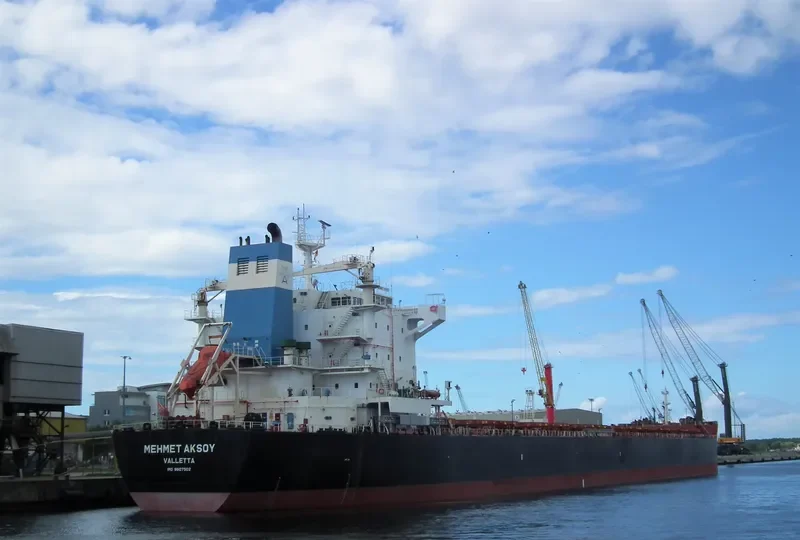 MEHMET AKSOY Bulk Carrier IMO 9607502 photo 2