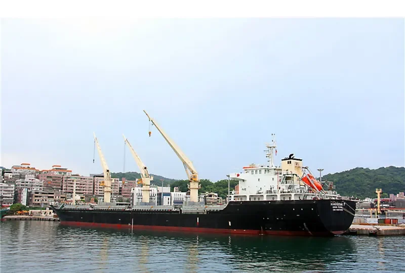 HONGSHENG 7 Bulk Carrier IMO 9607605 photo 3