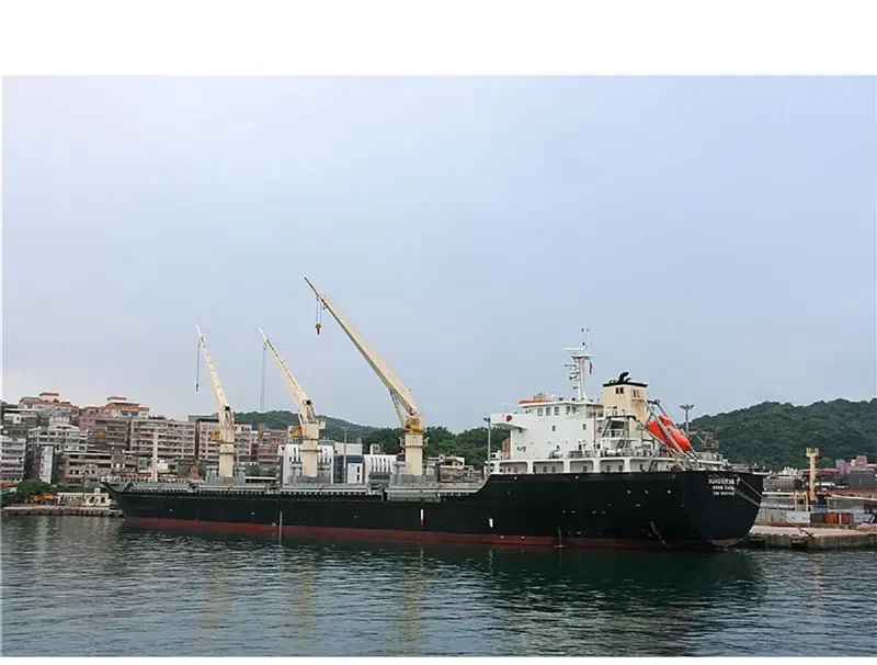 HONGSHENG 7 Bulk Carrier IMO 9607605 photo 6