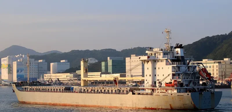 SILVER PEACE General Cargo IMO 9607655 photo 2