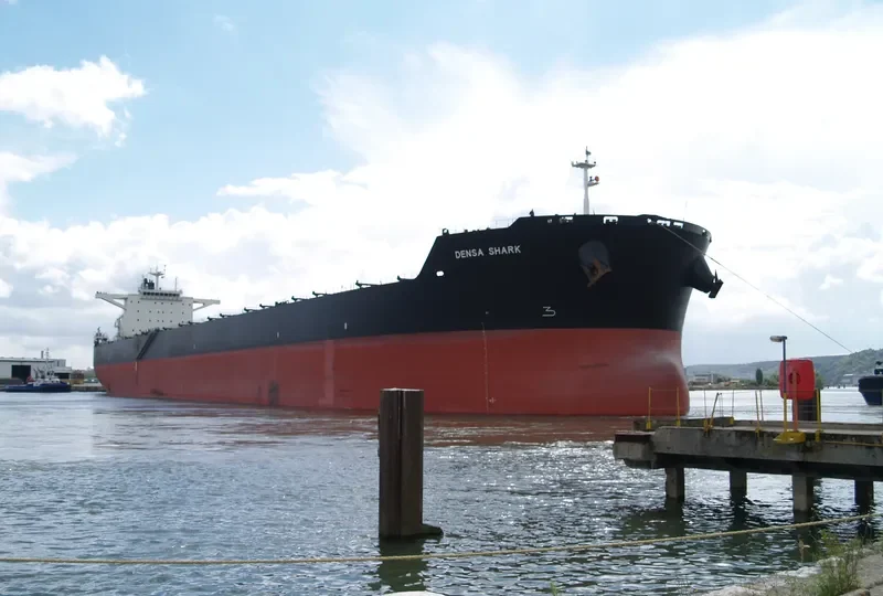 DENSA SHARK Bulk Carrier IMO 9607681 photo 7