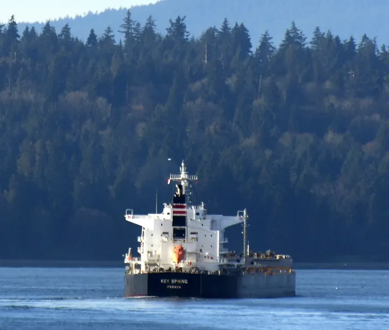 PATRA Bulk Carrier IMO 9607801