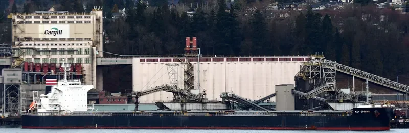 PATRA Bulk Carrier IMO 9607801 photo 2