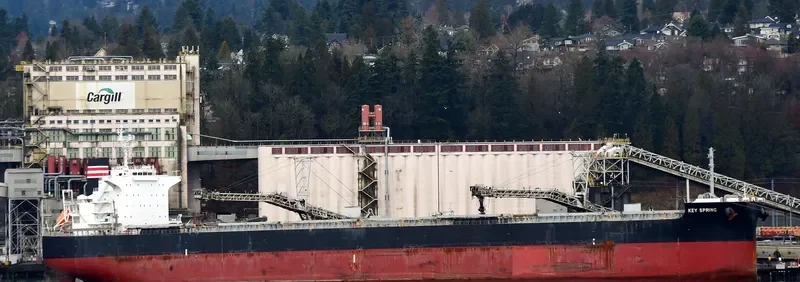 PATRA Bulk Carrier IMO 9607801 photo 4