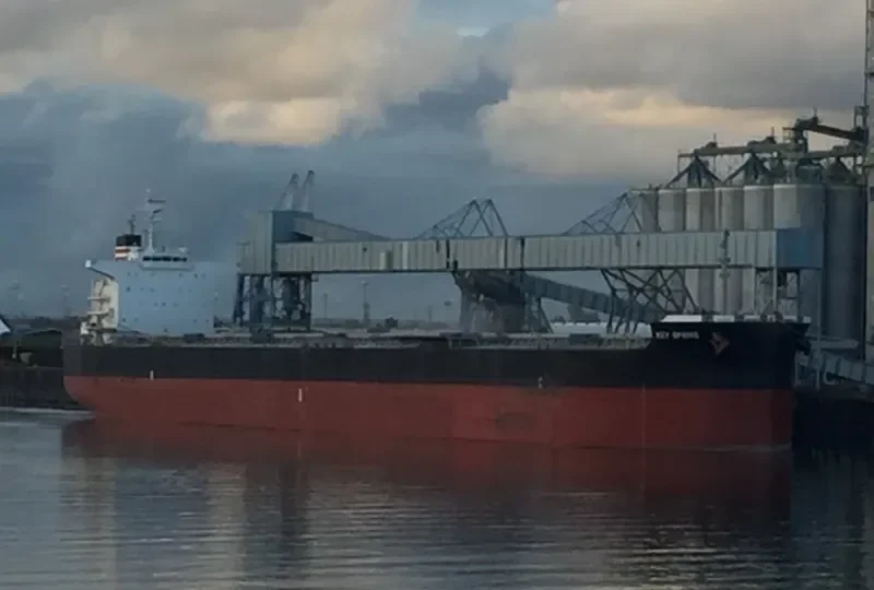 PATRA Bulk Carrier IMO 9607801 photo 9