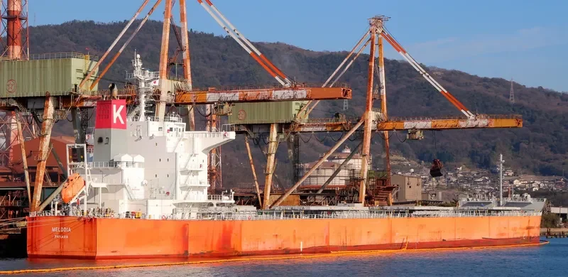 MELODIA Bulk Carrier IMO 9607813 photo 3