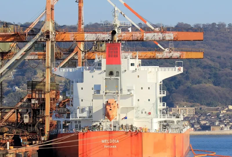 MELODIA Bulk Carrier IMO 9607813 photo 4