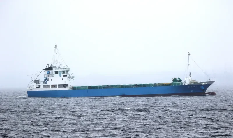 SANMANYOSHI 5 General Cargo IMO 9608013 photo 10