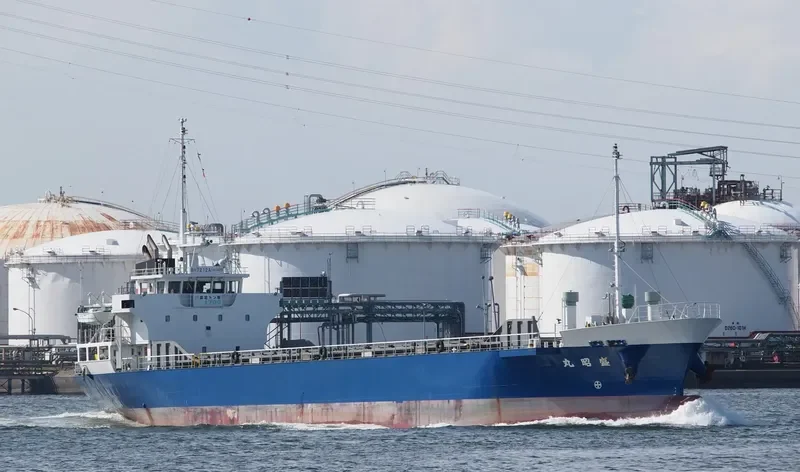 SEISHO MARU General Cargo IMO 9608037 photo 2