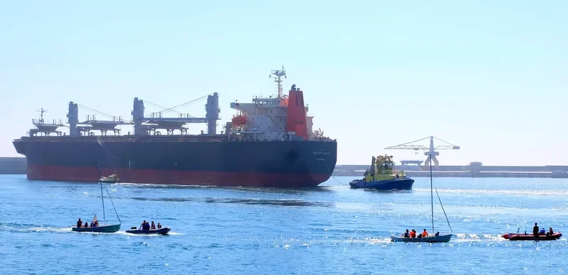 WATER LILY Bulk Carrier IMO 9608221 photo 4