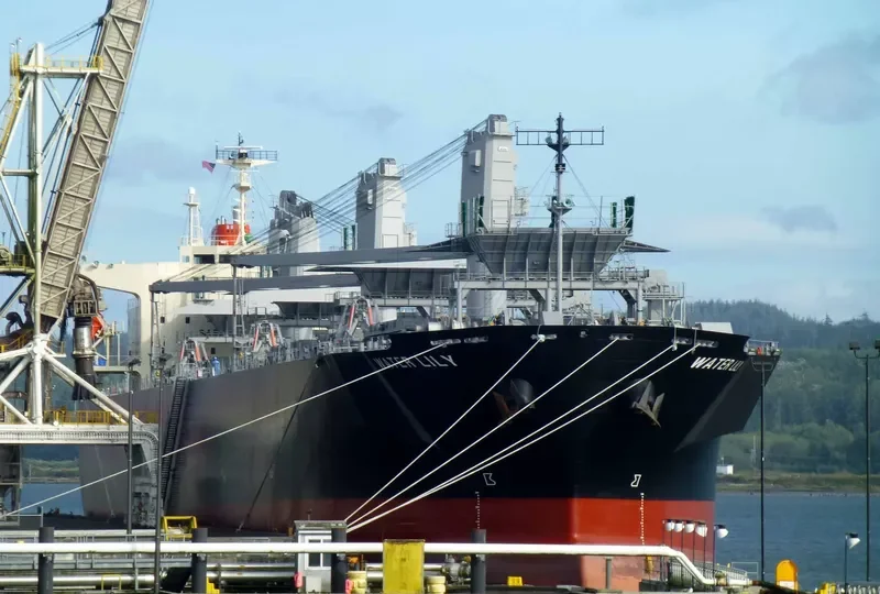 WATER LILY Bulk Carrier IMO 9608221 photo 9