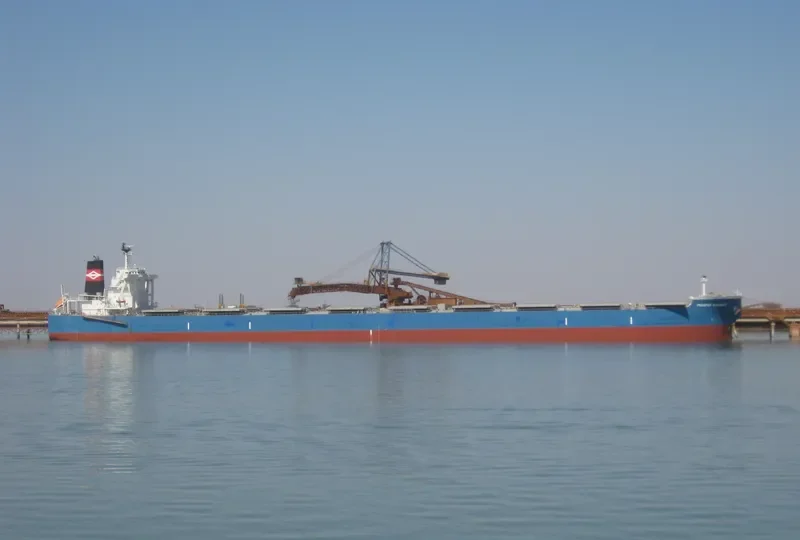 PROSPER SUNWAITO Bulk Carrier IMO 9608441