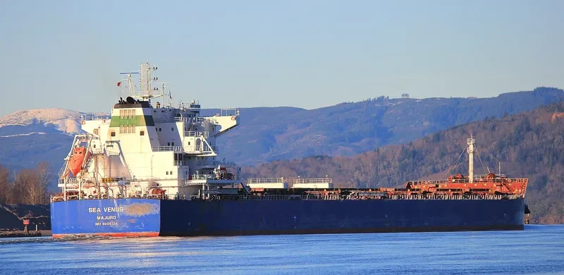 SEA VENUS Bulk Carrier IMO 9609134