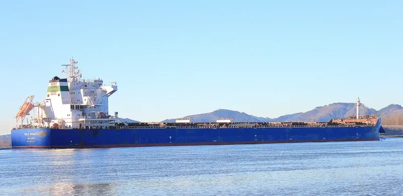 SEA VENUS Bulk Carrier IMO 9609134 photo 2
