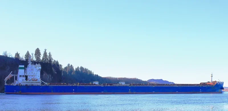 SEA VENUS Bulk Carrier IMO 9609134 photo 3