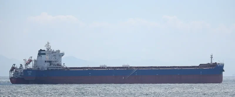 SEA VENUS Bulk Carrier IMO 9609134 photo 6