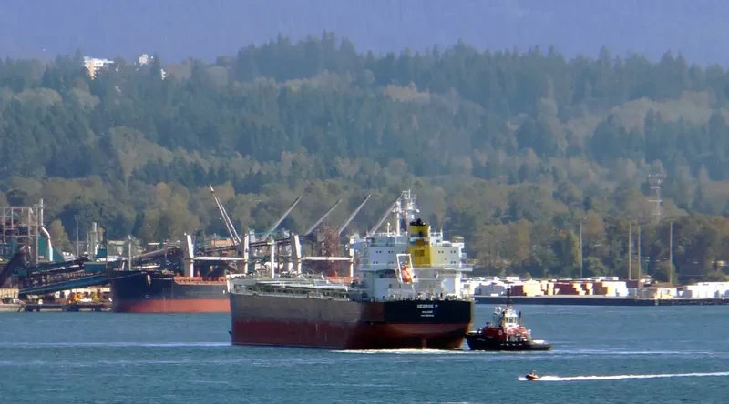 GEORGE P Bulk Carrier IMO 9609160 photo 8