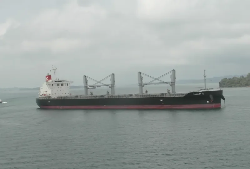 ND THELXIS Bulk Carrier IMO 9609225 photo 6