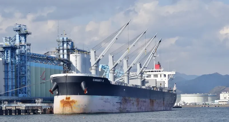 ND THELXIS Bulk Carrier IMO 9609225 photo 7