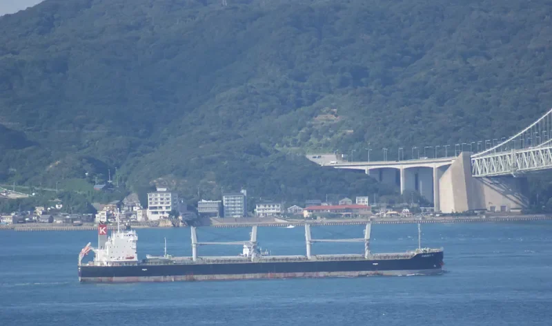 ND THELXIS Bulk Carrier IMO 9609225 photo 8
