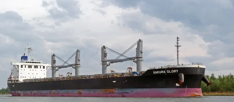 SAKURA GLORY Bulk Carrier IMO 9609237 photo 6