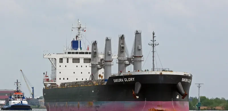 SAKURA GLORY Bulk Carrier IMO 9609237 photo 7