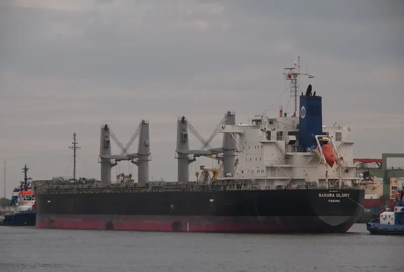 SAKURA GLORY Bulk Carrier IMO 9609237 photo 10