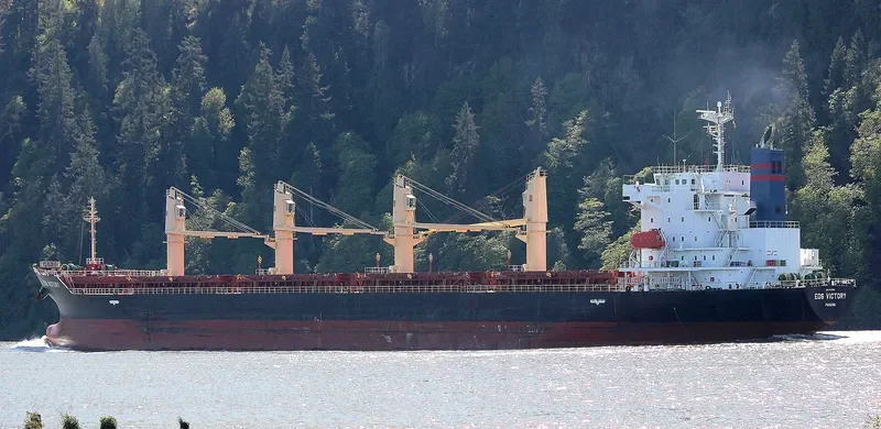 TRAWIND ROC Bulk Carrier IMO 9609299 photo 4